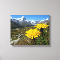 Walliser Alpen Schweiz