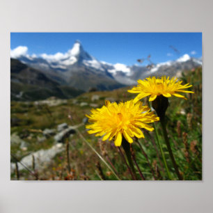 Walliser Alpen Schweiz Poster