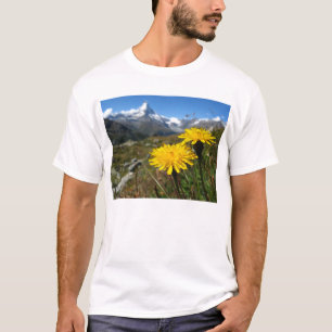 Walliser Alpen Schweiz T-Shirt