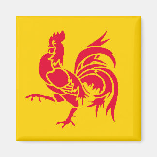 Wallonie-Flagge Belgien Region Französisches Symbo Magnet