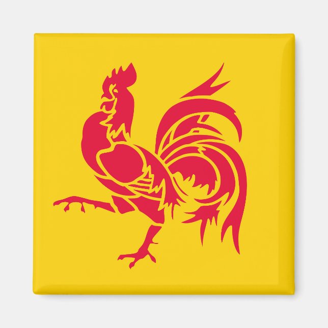Wallonie-Flagge Belgien Region Französisches Symbo Magnet (Vorne)