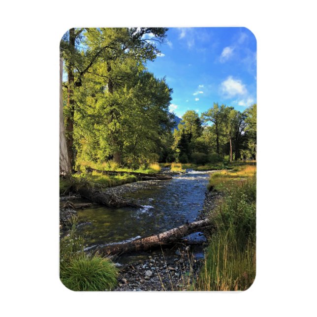 Wallowa Lake Staat Park, OR Magnet (Vertikal)