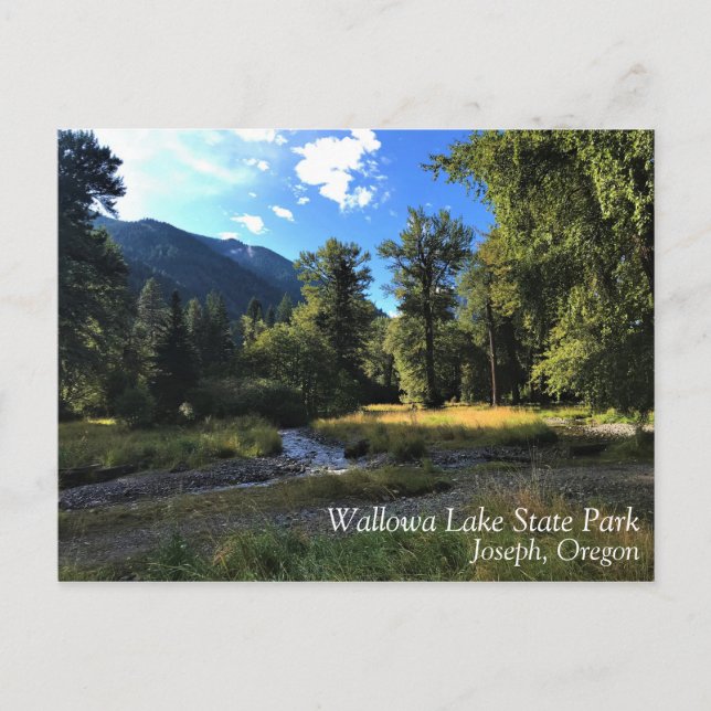 Wallowa Lake Staat Park, OR Postkarte (Vorderseite)