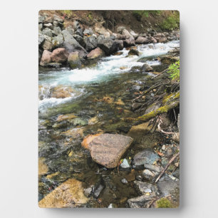 Wallowa River, OR Fotoplatte