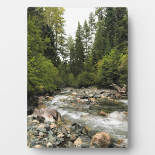 Wallowa River, OR Fotoplatte