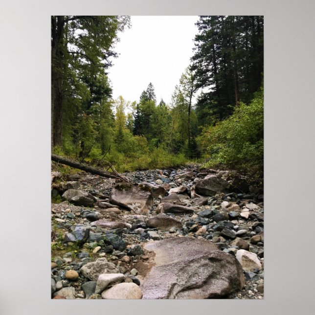 Wallowa River, OR Poster (Vorne)