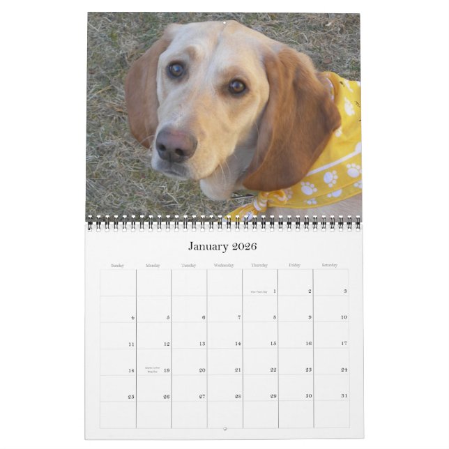 Wally der Wunder-Hund 2009 Kalender (Jan 2026)