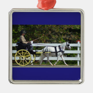 Walnuss-Hügel-Wagen, der Show 2015 fährt Silbernes Ornament