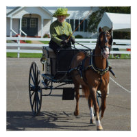 Walnut Hill Carriage Driving Horse Show