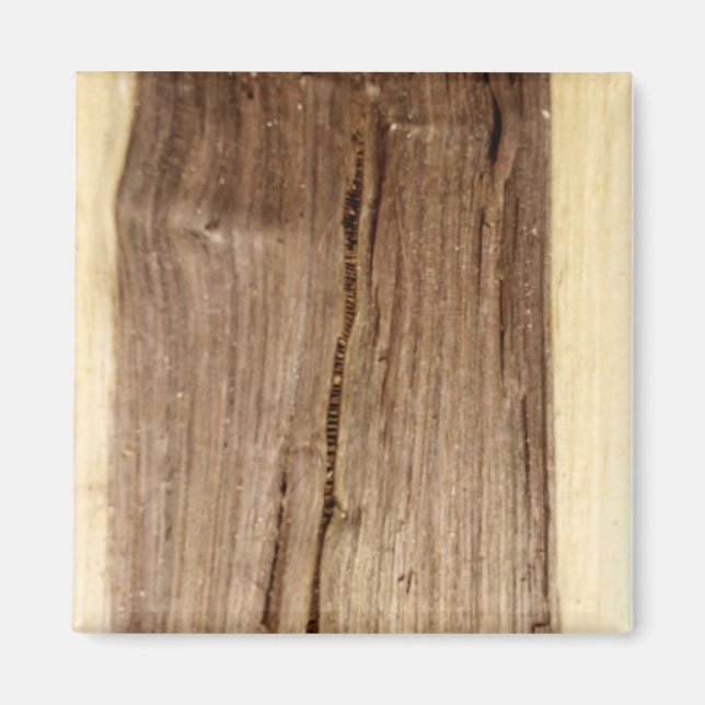 Walnut Magnet (Vorne)