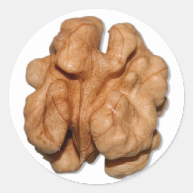 Walnut Runder Aufkleber (Vorderseite)