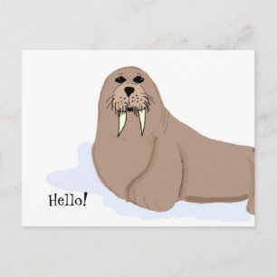 Walross Cartoon Postkarte
