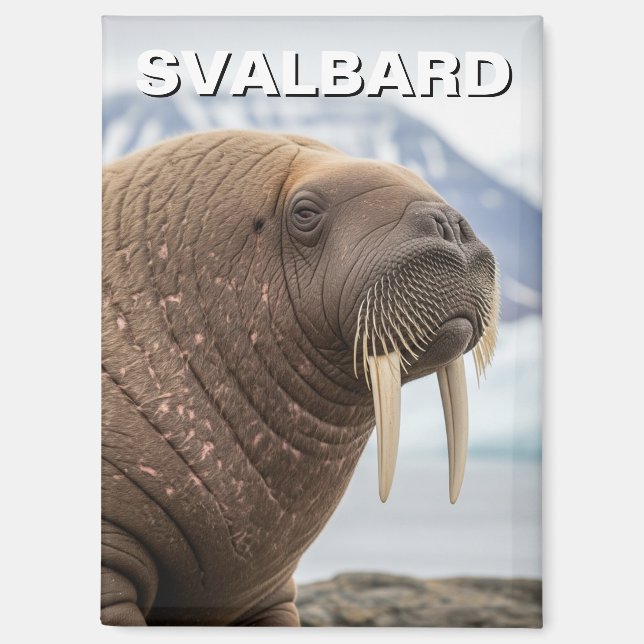 Walross in Svalbard Norwegen Magnet (Vorderseite)
