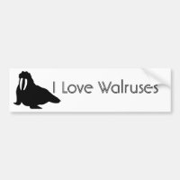 Walross-Liebe
