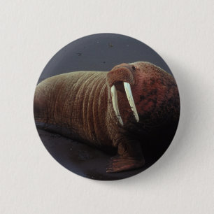 Walross-runder Knopf Button