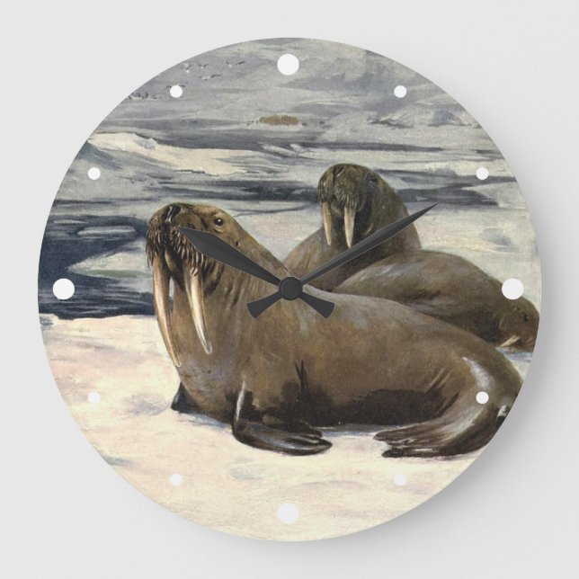 Walrosse im arktischen Schnee, Vintage Meereslebew Große Wanduhr (Vorderseite)