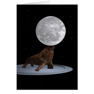 Walrus Balancing the Moon