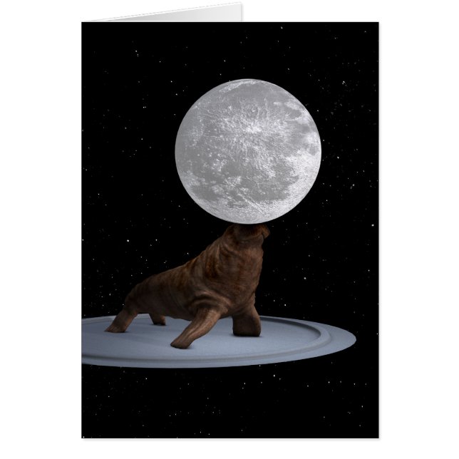 Walrus Balancing the Moon (Vorne)