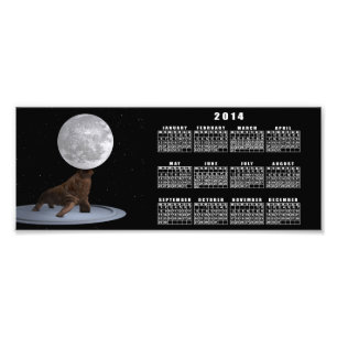 Walrus Balancing the Moon Fotodruck