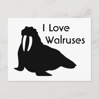 Walrus Liebe Postcard Postkarte