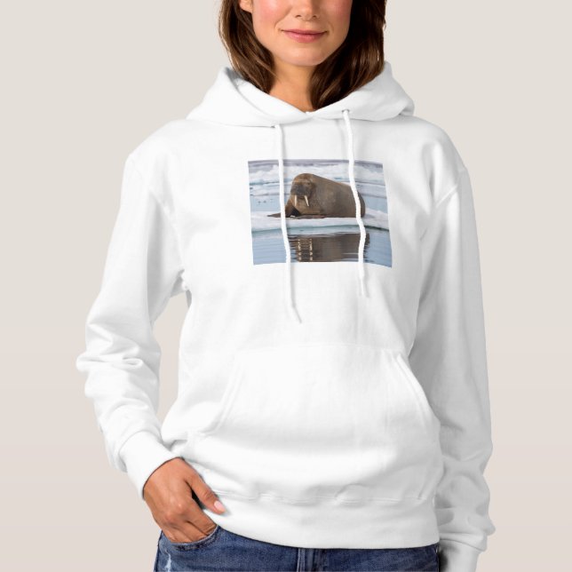 Walrus ruht auf Eis, Norwegen Hoodie (Vorderseite)
