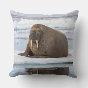 Walrus ruht auf Eis, Norwegen Kissen
