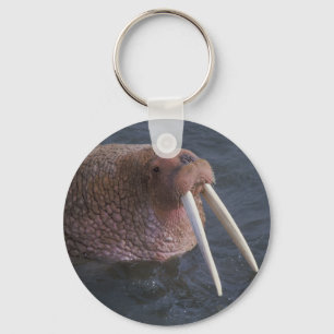 Walrus Schlüsselanhänger