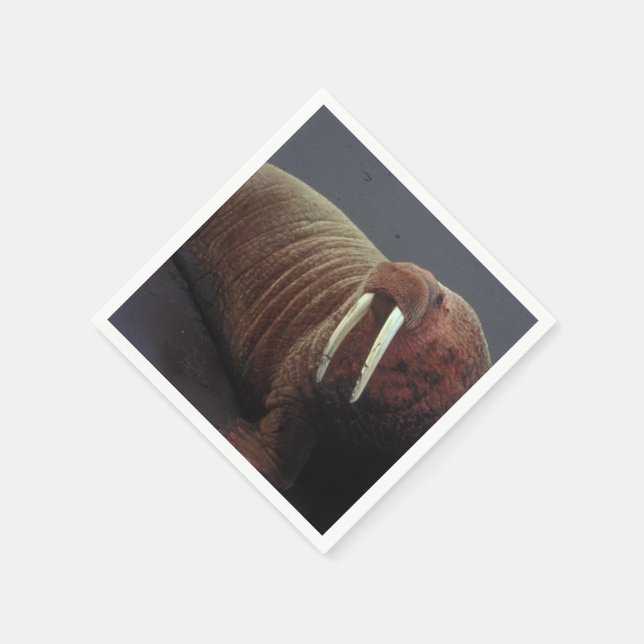 Walrus Serviette (Ecke)