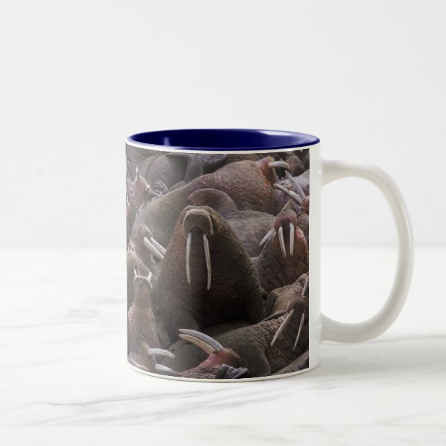 Walrus Tasse (Rechts)