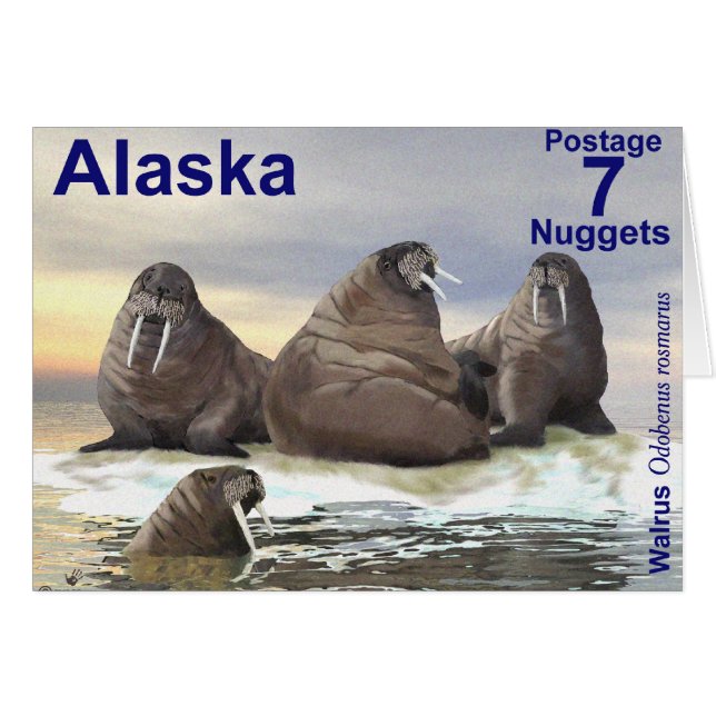 Walrus - Vier Brüder (Vorderseite (Horizontal))