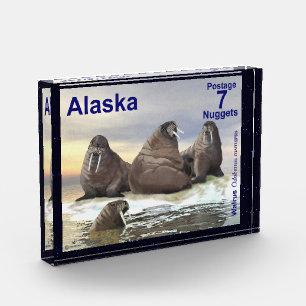 Walrus - Vier Brüder - Alaska Postage Fotoblock