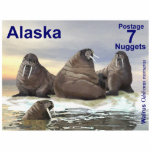 Walrus - Vier Brüder - Alaska Postage Fotoskulptur Magnet<br><div class="desc">Vier Walrus, Wilson, Winston, Winthrop und Wilbur im Wasser, dargestellt auf einer Portografie-Briefmarke eines unabhängigen Alaska. Der Walrus (Odobenus rosmarus) ist in seiner Reichweite umpolar, aber er befindet sich in geografisch getrennten Gebieten. Der Walrus, die einzige lebende Art der Familie der Odobenidae und der Gattung Odobenus, ist in drei Unterarten...</div>