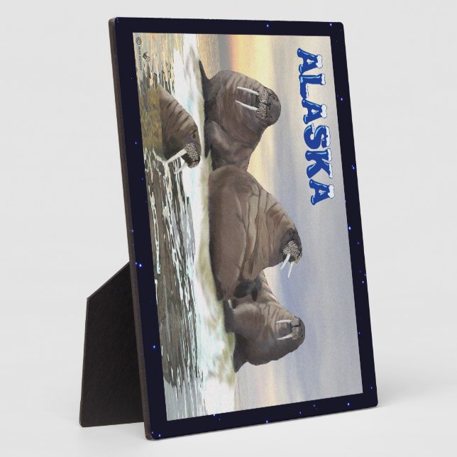 Walrus - Vier Brüder Fotoplatte (Seite)