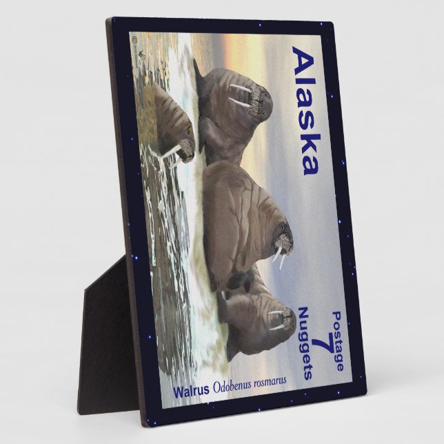 Walrus - Vier Brüder Fotoplatte (Seite)