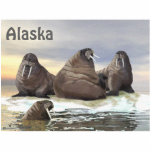 Walrus - Vier Brüder Fotoskulptur Magnet<br><div class="desc">Drei Walrosen, Wilson, Winston, Winthrop, Erholung auf einer Eismehle, mit dem vierten Bruder Wilbur, im Wasser. Es erscheint auch das Textlesen "Alaska". Der Walrus (Odobenus rosmarus) ist in seiner Reichweite umpolar, aber er befindet sich in geografisch getrennten Gebieten. Der Walrus, die einzige lebende Art der Familie der Odobenidae und der...</div>