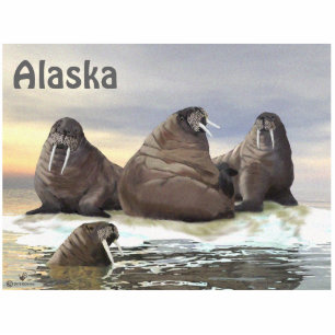 Walrus - Vier Brüder Fotoskulptur Magnet