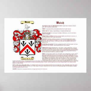 Walsh (Bedeutung) Poster