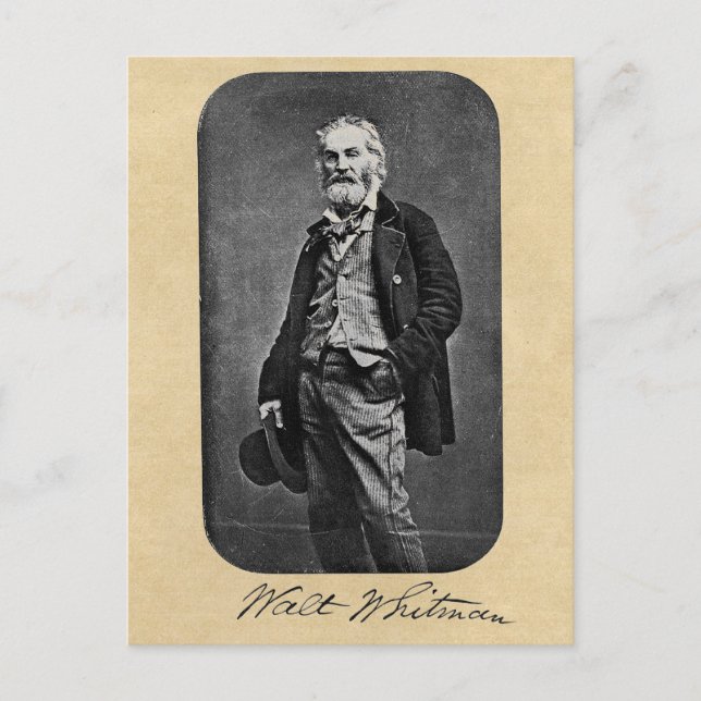 Walt Whitman Age 41 Portrait Postkarte (Vorderseite)