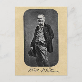 Walt Whitman Blätter von Grass Frontispiece Postkarte