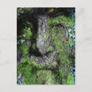 "Walt Whitman: Der Grüne Mann" Postkarte