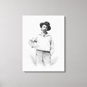 Walt Whitman, Frontispiz 'zum Blätter von Leinwanddruck