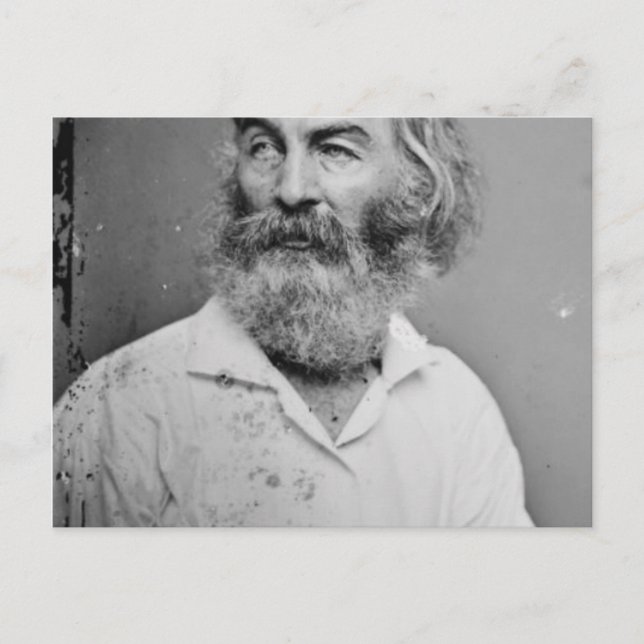 Walt Whitman Postkarte (Vorderseite)