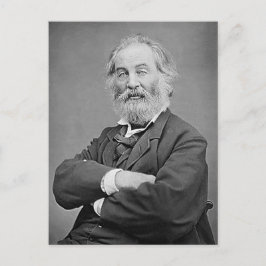 Walt Whitman sitzt Portrait Fotograf Alter 47 Postkarte