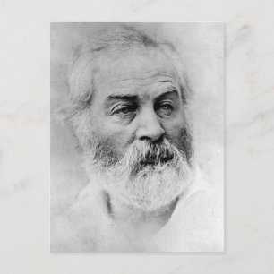 Walt Whitman Zivil War Years Age 44 Postkarte