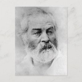 Walt Whitman Zivil War Years Age 44 Postkarte