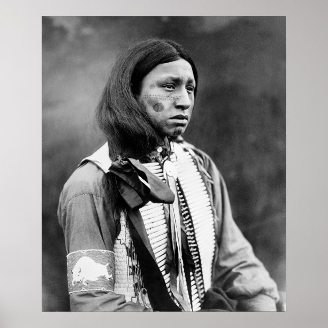 Walter Iron Muschel: 1911 Poster (Vorne)