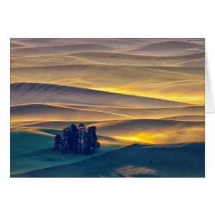 Wälzhügel bei Sonnenaufgang  WA