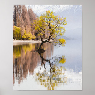Wanaka Tree Herbst Landschaft Poster