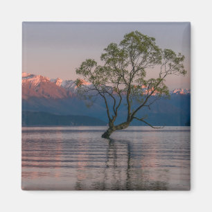 Wanaka Tree, Neuseeland Magnet