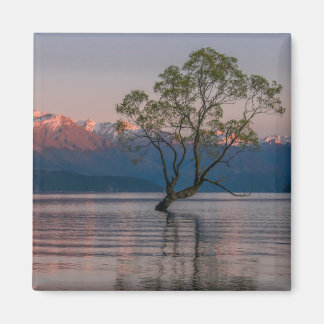 Wanaka Tree, Neuseeland Magnet